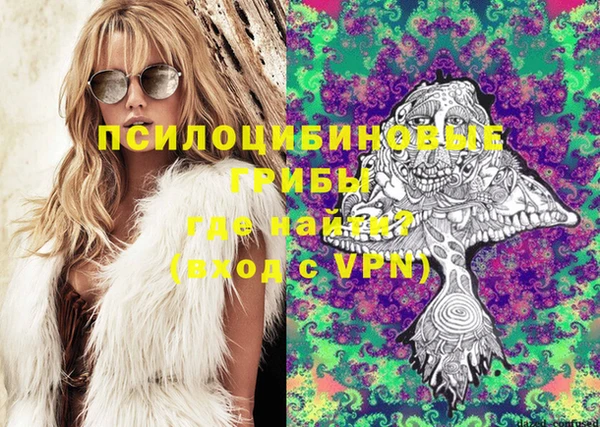 индика Алексеевка