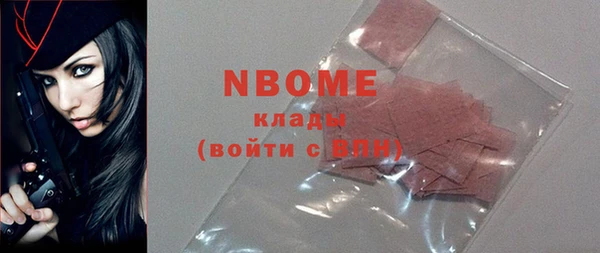 индика Алзамай