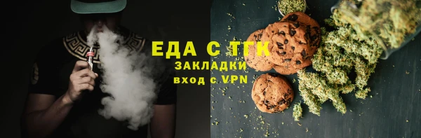 индика Алзамай