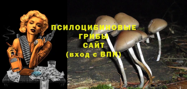 героин Алексин
