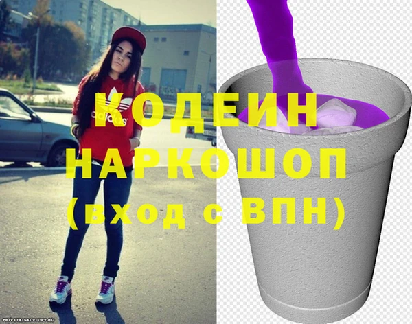 индика Алексеевка