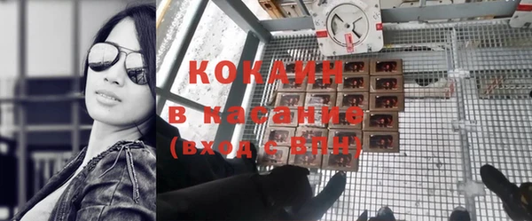 индика Алзамай
